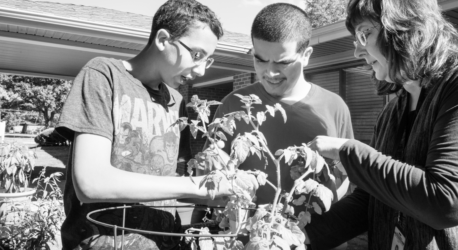 Outside a woman is teaching two boys about plants