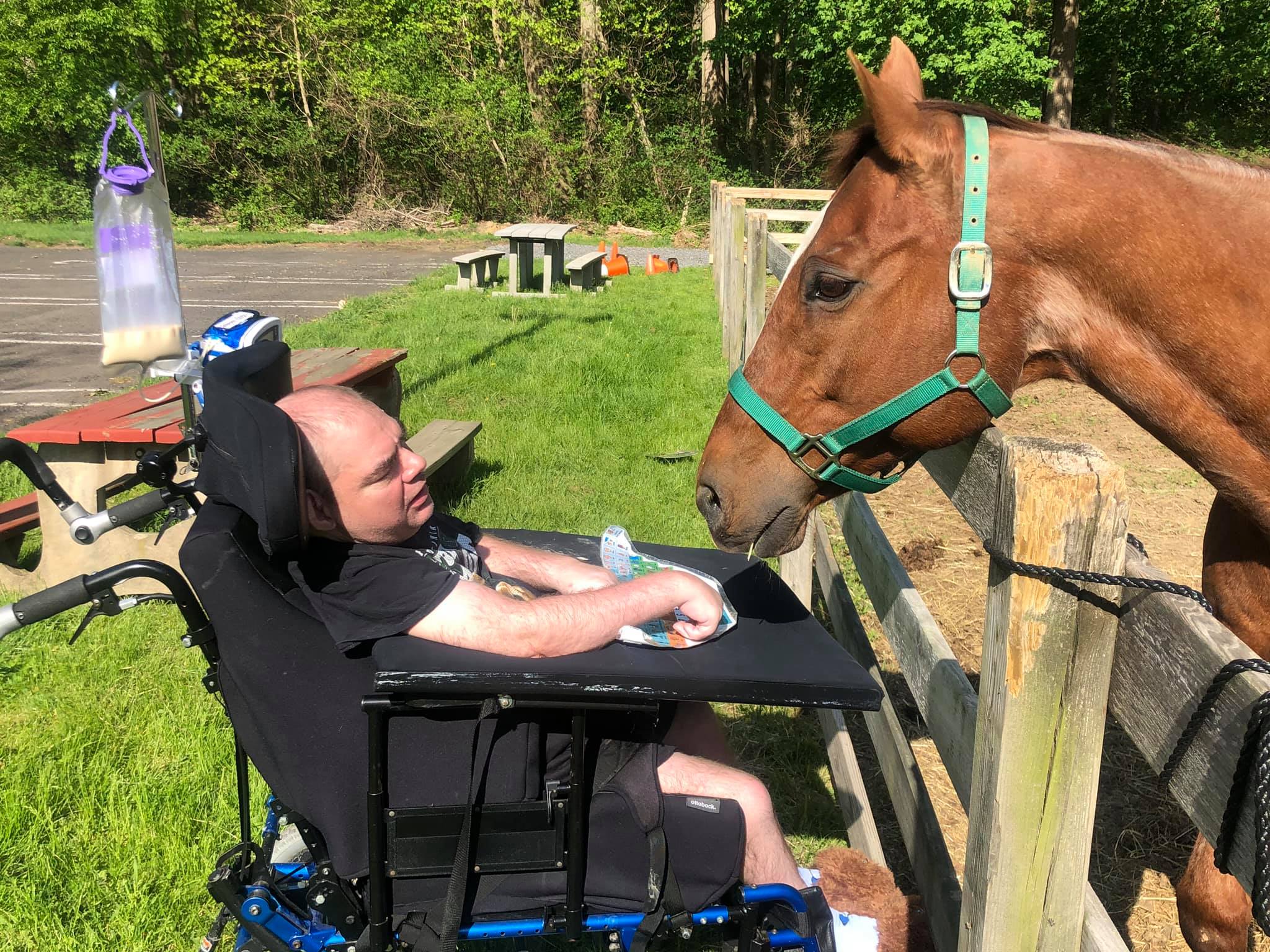 man in a wheelchair looking at a brown horse